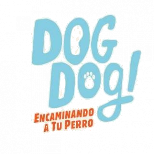 Dog Dog Encaminando a tu Perro